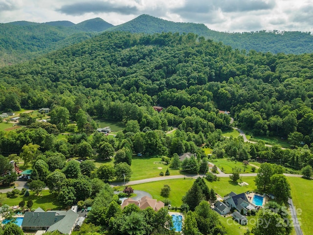 12 Apple Tree Way, Asheville, NC 28805 - photo 9