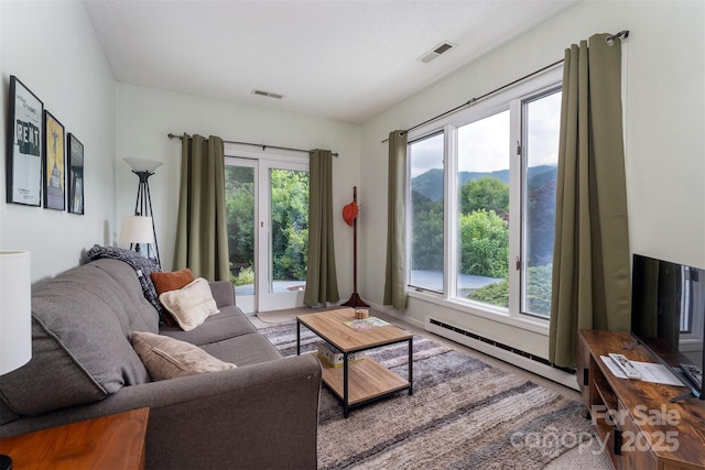 12 Apple Tree Way, Asheville, NC 28805 - photo 40
