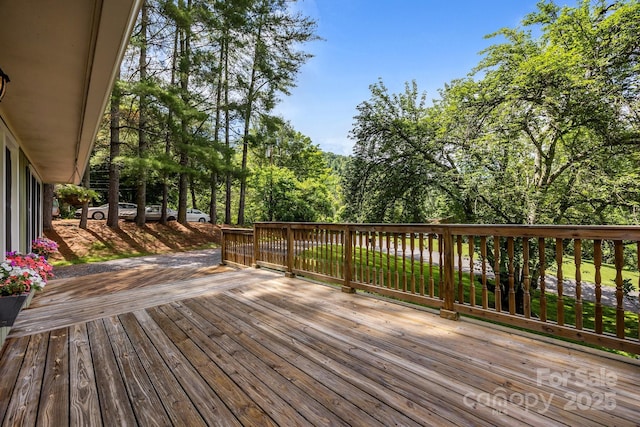 64 Christopher Ln, Sylva, NC 28779 - photo 3