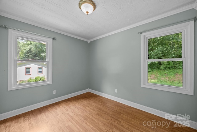 64 Christopher Ln, Sylva, NC 28779 - photo 21