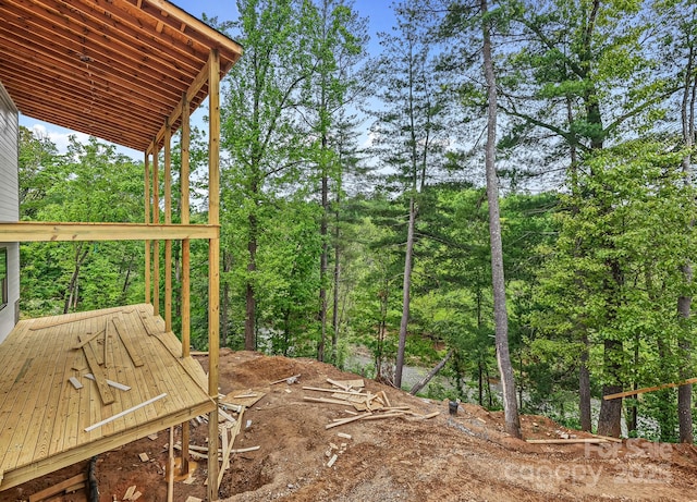 920 Newport Ct, Asheville, NC 28806 - photo 5