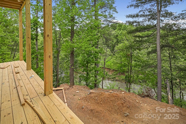 920 Newport Ct, Asheville, NC 28806 - photo 11