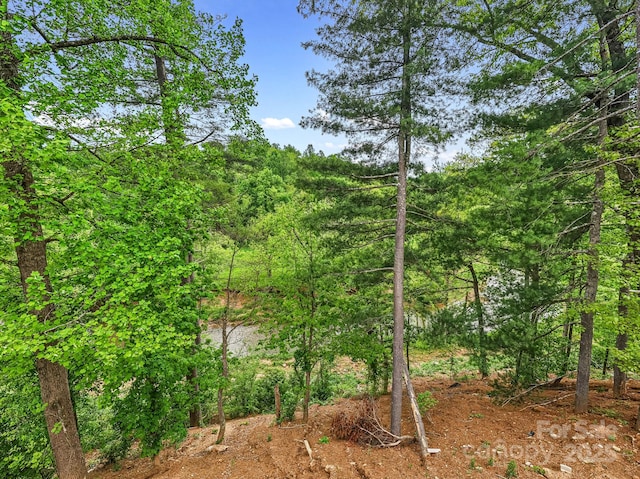 920 Newport Ct, Asheville, NC 28806 - photo 13