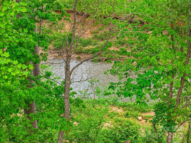 920 Newport Ct, Asheville, NC 28806 - photo 15