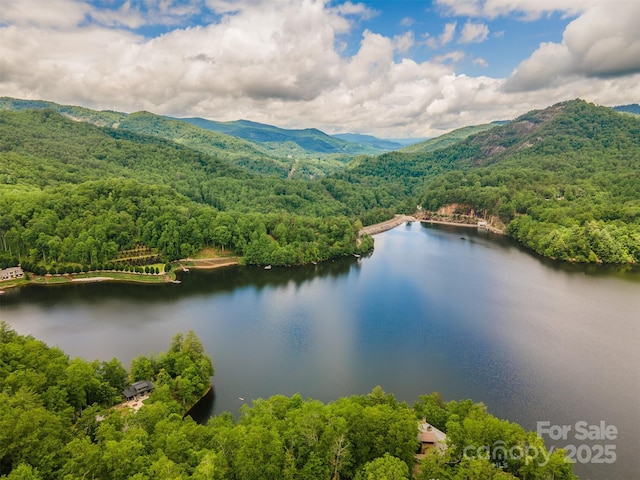 LOT103 Longview Ln Unit 103, Tuckasegee, NC 28783