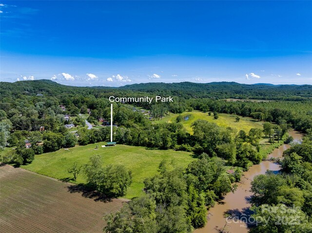 208 Kelly Ln, Hendersonville, NC 28791 - photo 46