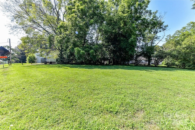 504 Potts St, Davidson, NC 28036 - view of green lawn