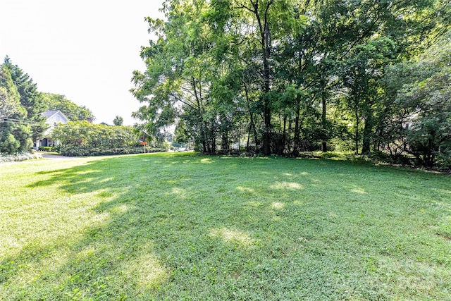 504 Potts St, Davidson, NC 28036 - view of grassy yard
