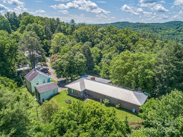 77 Dr Ramsey Dr, Marshall, NC 28753 - photo 7