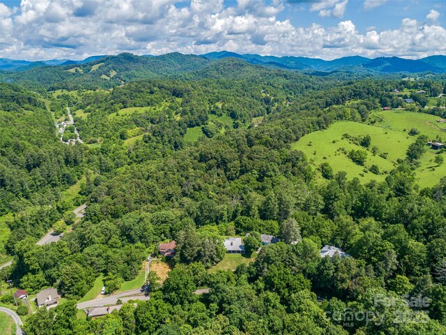 77 Dr Ramsey Dr, Marshall, NC 28753 - photo 9
