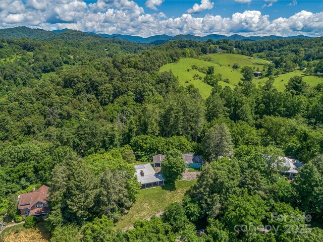 77 Dr Ramsey Dr, Marshall, NC 28753 - photo 10