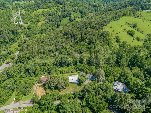 77 Dr Ramsey Dr, Marshall, NC 28753 - photo 11