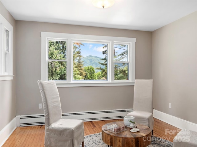 50 Skyland Ter, Canton, NC 28716 - sitting room with baseboard heating, healthy amount of natural light, wood finished floors, and a mountain view