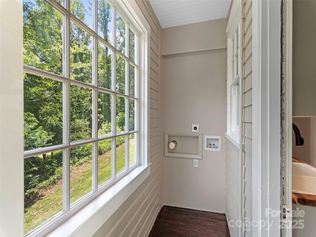 50 Skyland Ter, Canton, NC 28716 - washroom featuring electric dryer hookup, dark wood-style floors, and washer hookup
