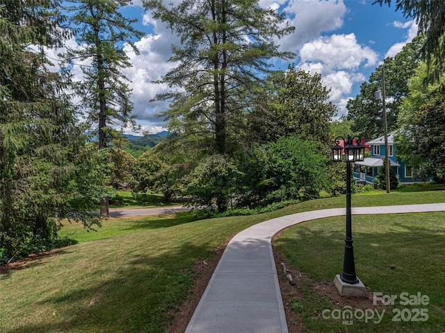 50 Skyland Ter, Canton, NC 28716 - view of home's community with a lawn