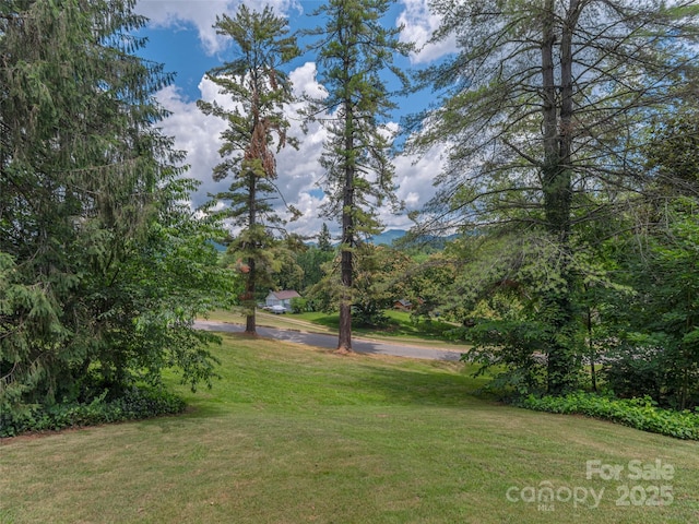 50 Skyland Ter, Canton, NC 28716 - view of green lawn