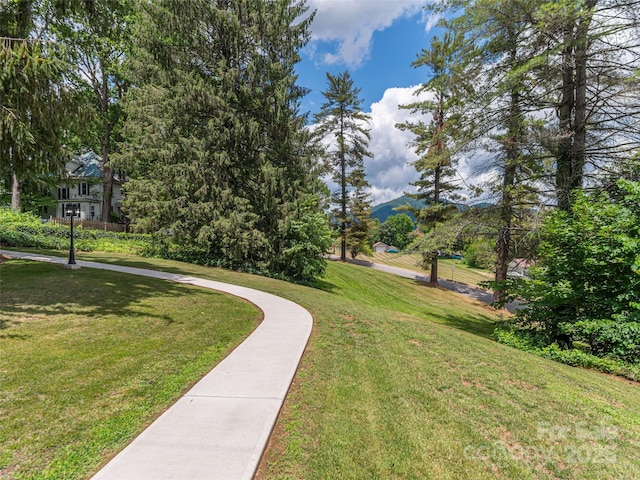 50 Skyland Ter, Canton, NC 28716 - view of home's community with a lawn