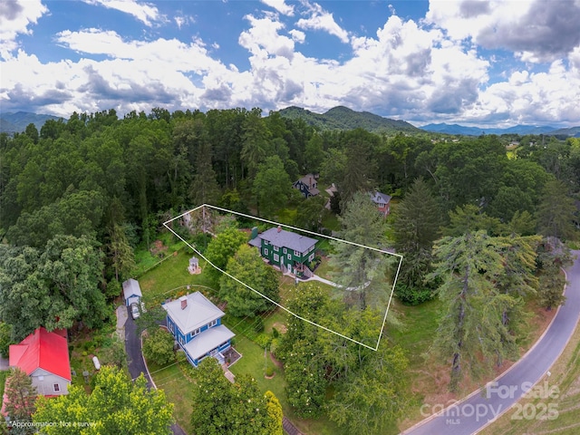 50 Skyland Ter, Canton, NC 28716 - aerial view of property and surrounding area with property parcel outlined and a forest