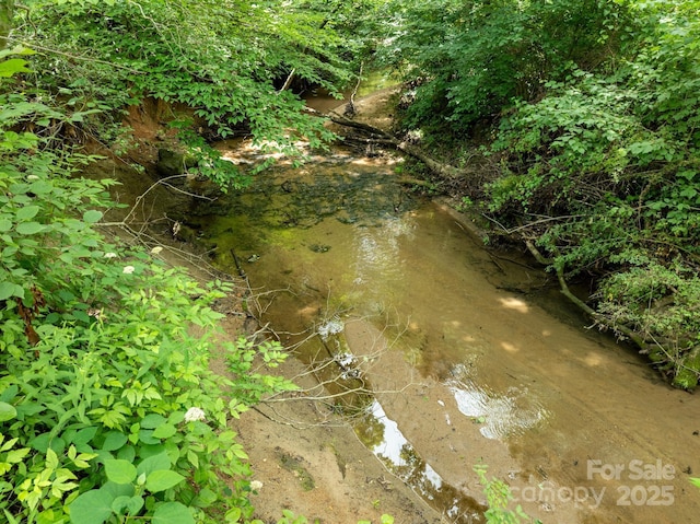 1036 Williamsburg Dr, Lenoir, NC 28645 - view of local wilderness