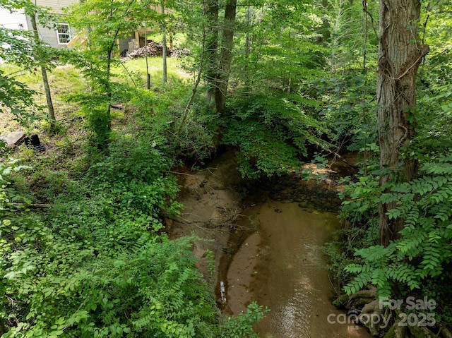 1036 Williamsburg Dr, Lenoir, NC 28645 - view of nature