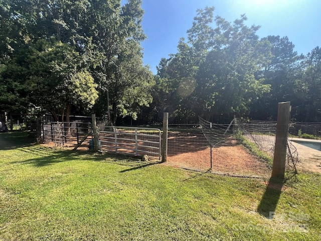 2437 Knox Station Rd, Chester, SC 29706 - view of yard