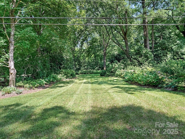 827 Museum Dr, Charlotte, NC 28207 - photo 35