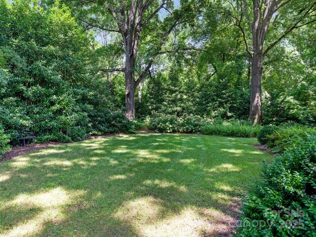 827 Museum Dr, Charlotte, NC 28207 - photo 38