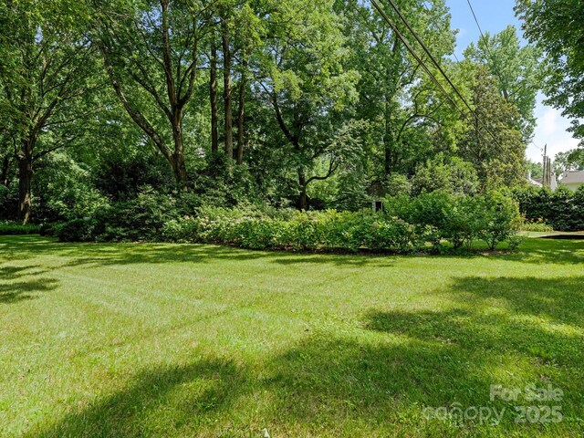 827 Museum Dr, Charlotte, NC 28207 - photo 39