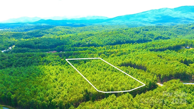 2422 Ivy Rays Way, Nebo, NC 28761