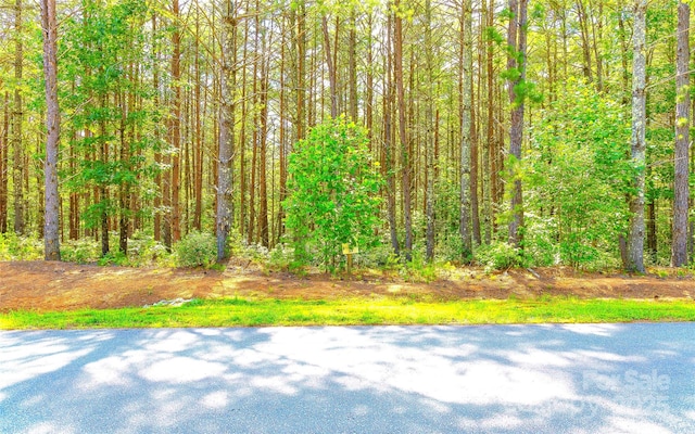 2422 Ivy Rays Way, Nebo, NC 28761
