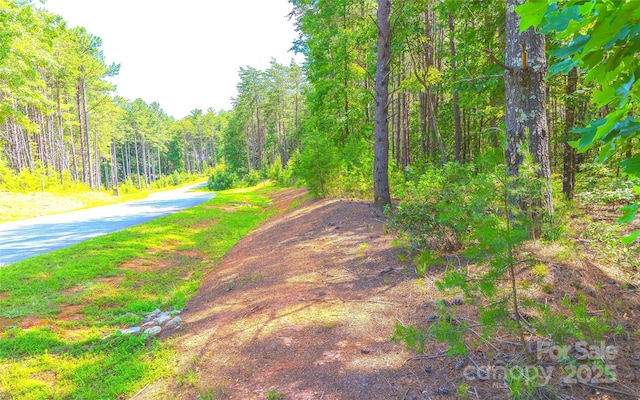 2422 Ivy Rays Way, Nebo, NC 28761
