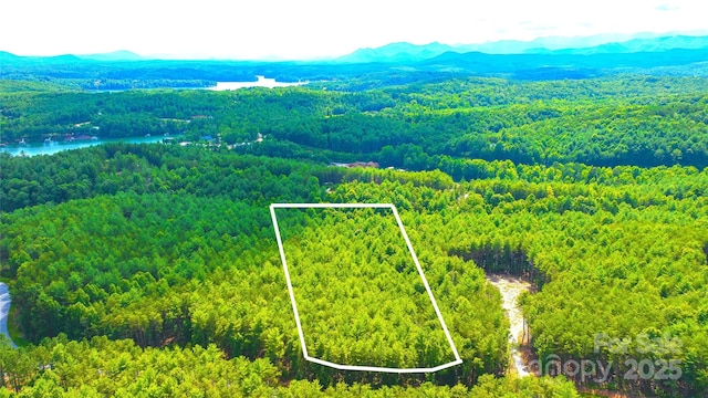 2422 Ivy Rays Way, Nebo, NC 28761