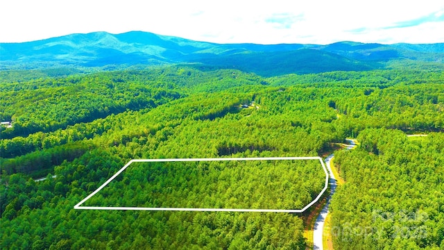 2422 Ivy Rays Way, Nebo, NC 28761