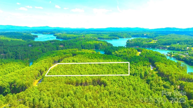 2422 Ivy Rays Way, Nebo, NC 28761