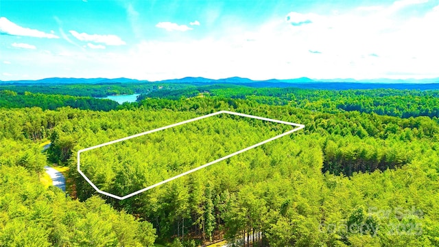 2422 Ivy Rays Way, Nebo, NC 28761