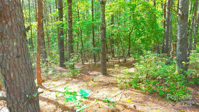 2422 Ivy Rays Way, Nebo, NC 28761