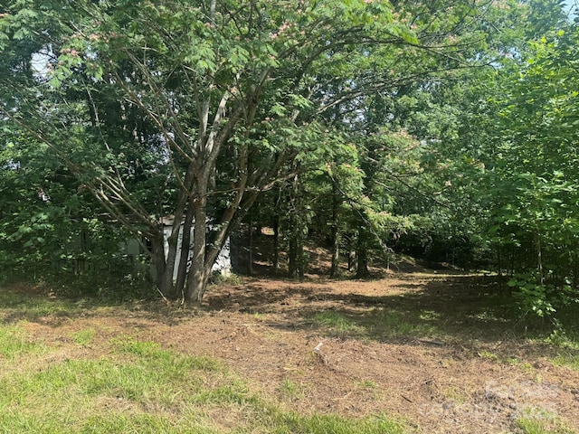 1290 Gardiol Ave NE, Valdese, NC 28690 - view of local wilderness