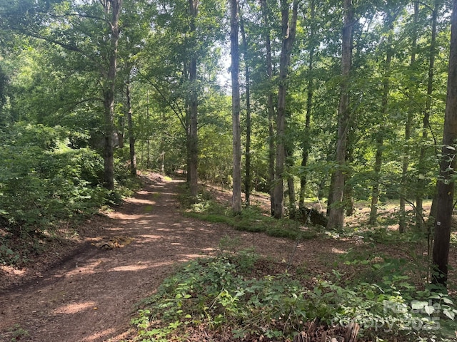 1290 Gardiol Ave NE, Valdese, NC 28690 - view of tree filled area