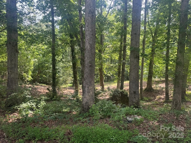 1290 Gardiol Ave NE, Valdese, NC 28690 - view of tree filled area