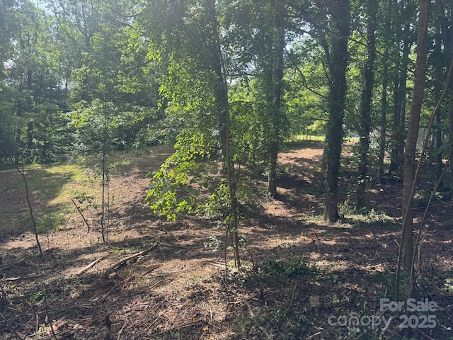 1290 Gardiol Ave NE, Valdese, NC 28690 - view of local wilderness