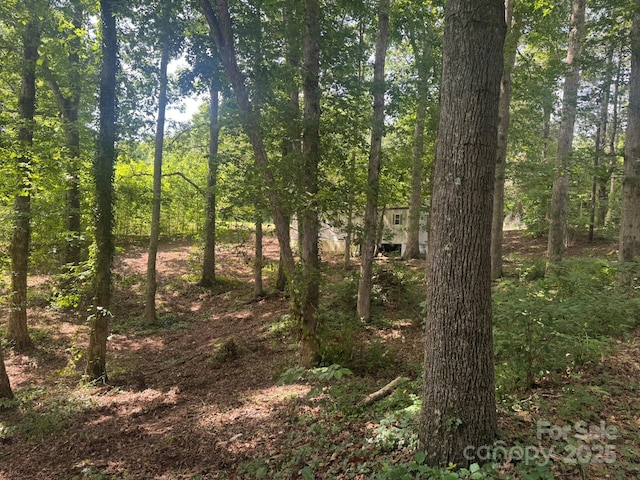 1290 Gardiol Ave NE, Valdese, NC 28690 - view of nature