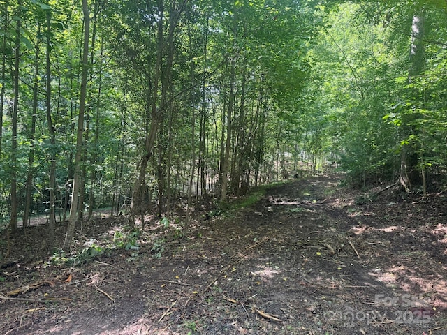1290 Gardiol Ave NE, Valdese, NC 28690 - view of tree filled area