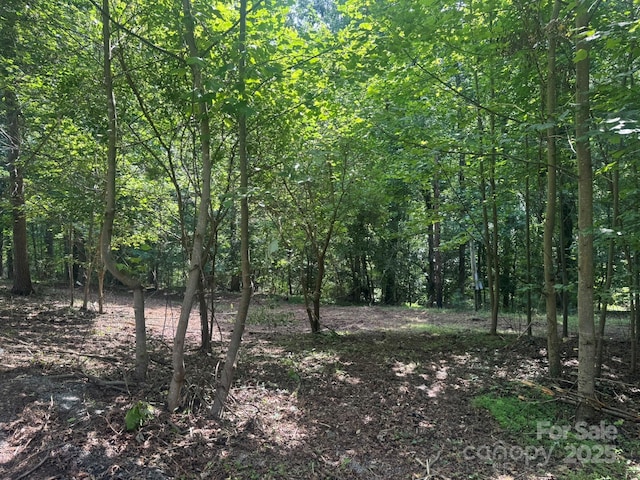 1290 Gardiol Ave NE, Valdese, NC 28690 - view of woods