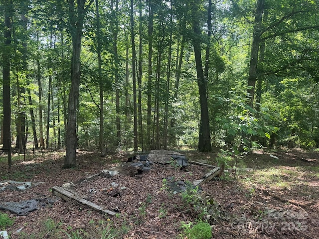 1290 Gardiol Ave NE, Valdese, NC 28690 - view of wooded area