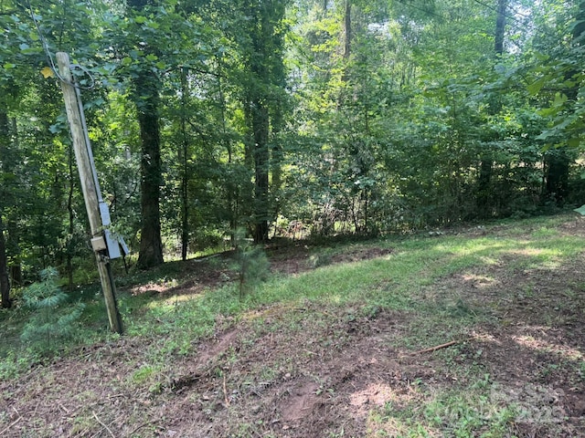 1290 Gardiol Ave NE, Valdese, NC 28690 - view of woods