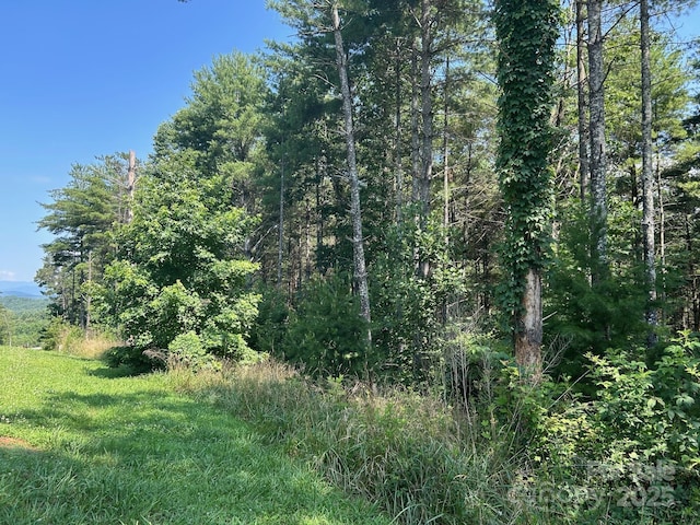 268 Crest View Dr Unit 94, Nebo, NC 28761