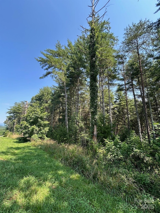 268 Crest View Dr Unit 94, Nebo, NC 28761
