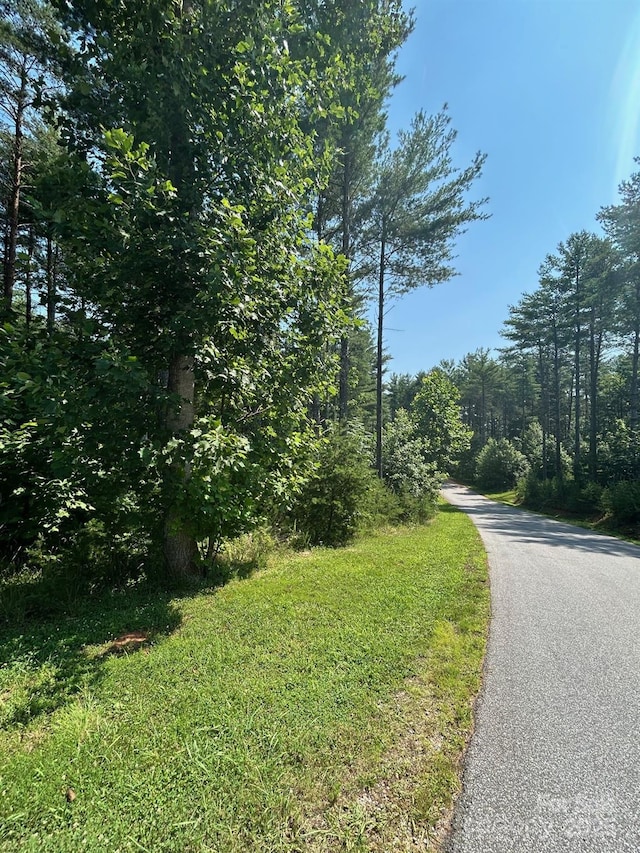 268 Crest View Dr Unit 94, Nebo, NC 28761