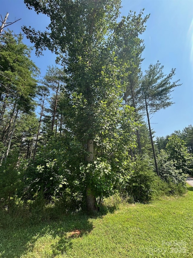 268 Crest View Dr Unit 94, Nebo, NC 28761