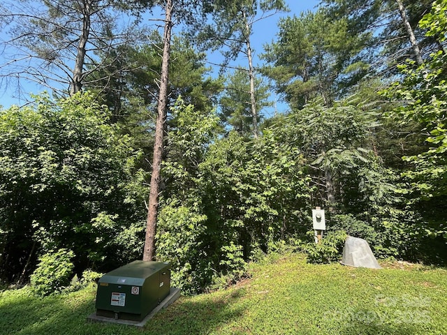 268 Crest View Dr Unit 94, Nebo, NC 28761